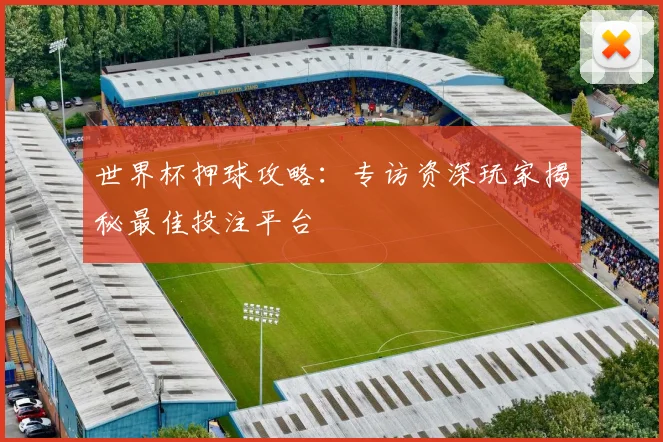 世界杯押球攻略：专访资深玩家揭秘最佳投注平台
