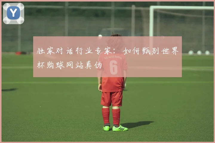 独家对话行业专家：如何甄别世界杯购球网站真伪
