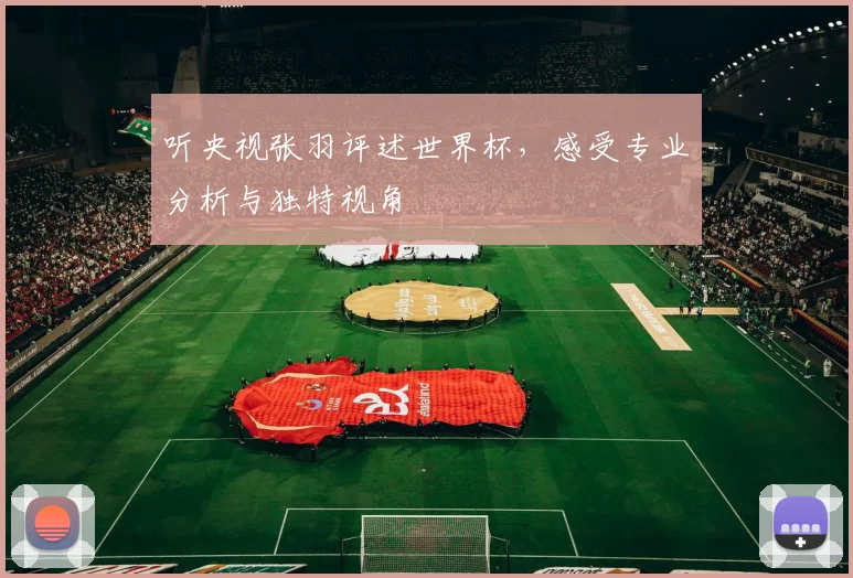 听央视张羽评述世界杯,感受专业分析与独特视角