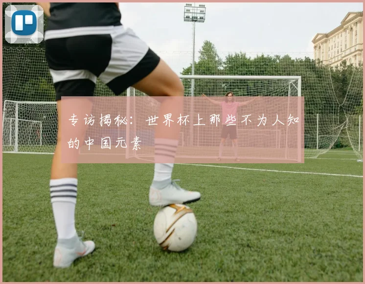 专访揭秘:世界杯上那些不为人知的中国元素