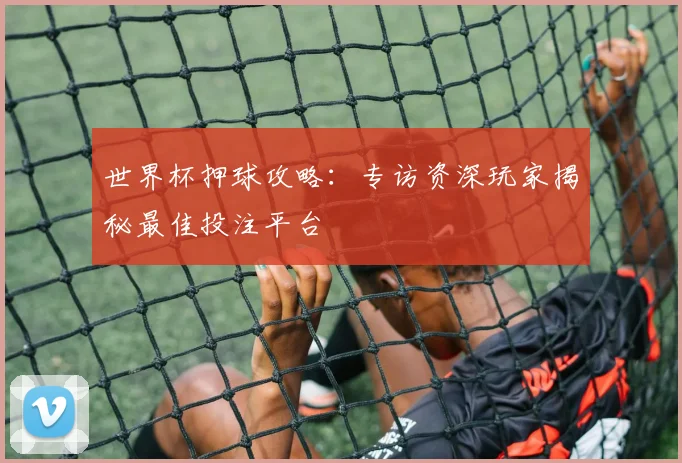 世界杯押球攻略：专访资深玩家揭秘最佳投注平台
