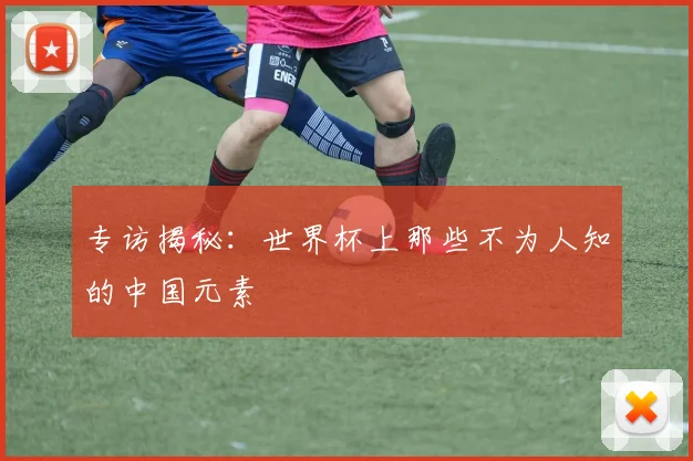专访揭秘:世界杯上那些不为人知的中国元素