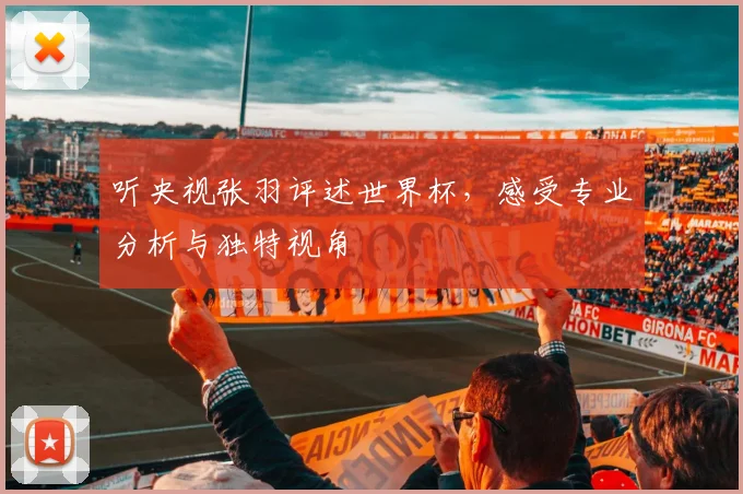 听央视张羽评述世界杯,感受专业分析与独特视角