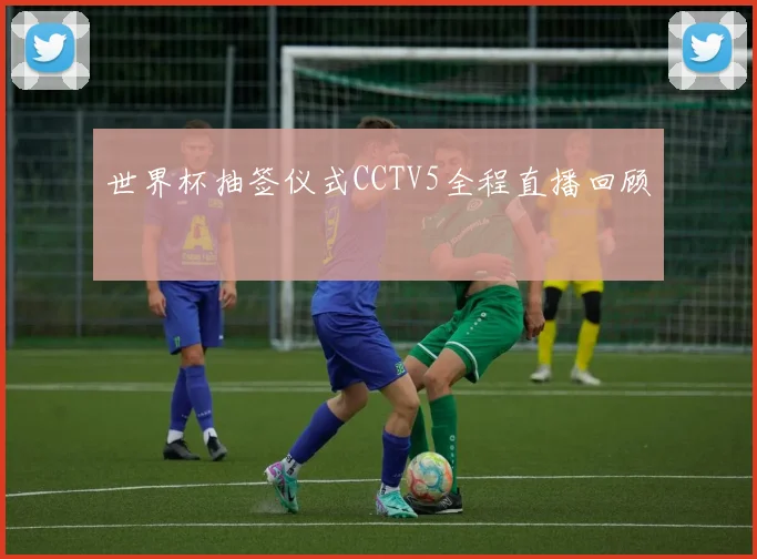 世界杯抽签仪式CCTV5全程直播回顾